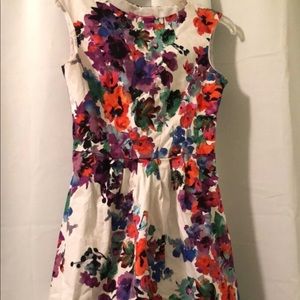 Spring Floral Dress